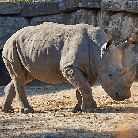 Hotel Selwo Lodge - Animal Park Tickets Included Estepona Exterior photo
