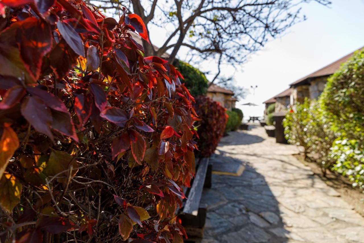 Hotel Selwo Lodge - Animal Park Tickets Included Estepona Exterior photo